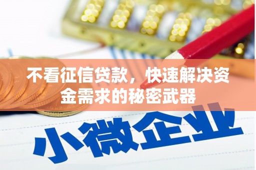 德昌不看征信贷款，快速解决资金需求的秘密武器