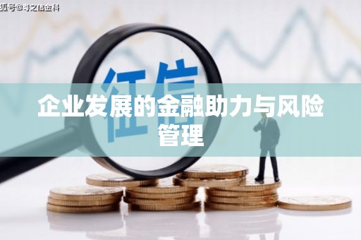 德昌企业发展的金融助力与风险管理
