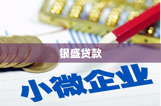 德昌银盛贷款