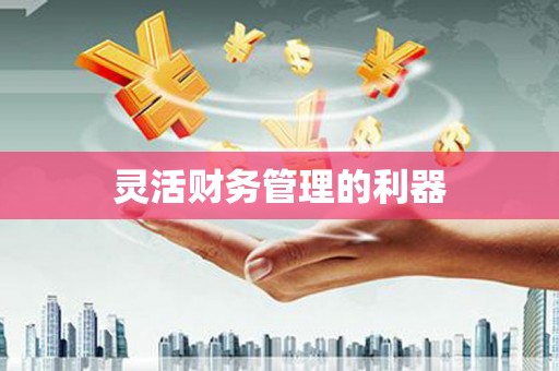 德昌灵活财务管理的利器