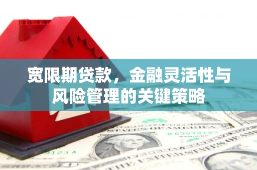 德昌宽限期贷款，金融灵活性与风险管理的关键策略