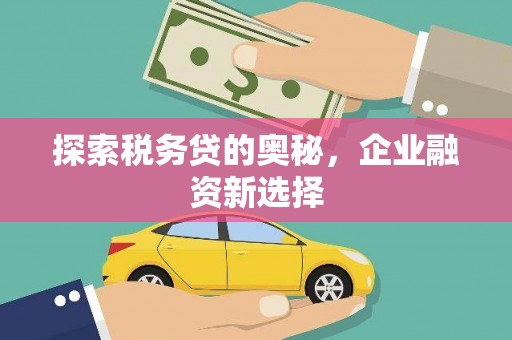 德昌探索税务贷的奥秘，企业融资新选择