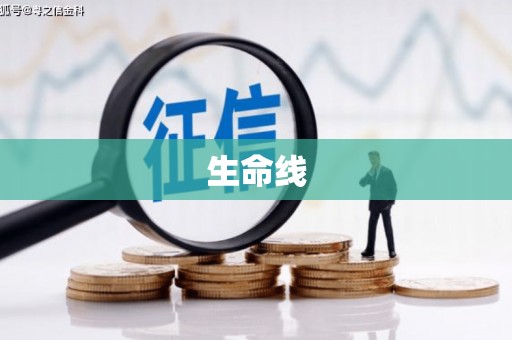 德昌生命线