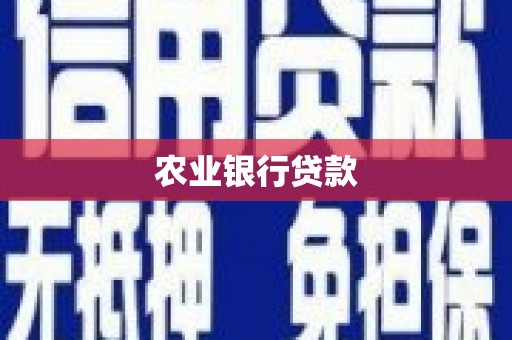 德昌农业银行贷款