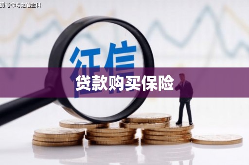 德昌贷款购买保险