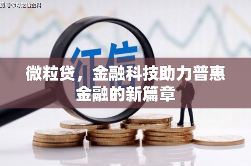 德昌微粒贷，金融科技助力普惠金融的新篇章