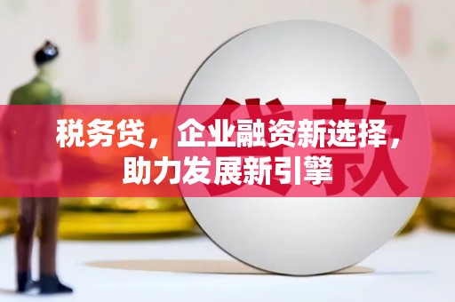 德昌税务贷，企业融资新选择，助力发展新引擎