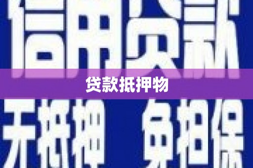 德昌贷款抵押物