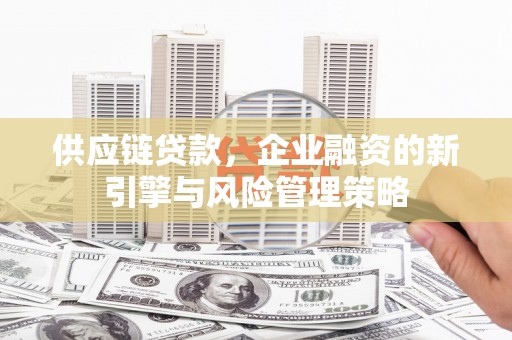德昌供应链贷款，企业融资的新引擎与风险管理策略