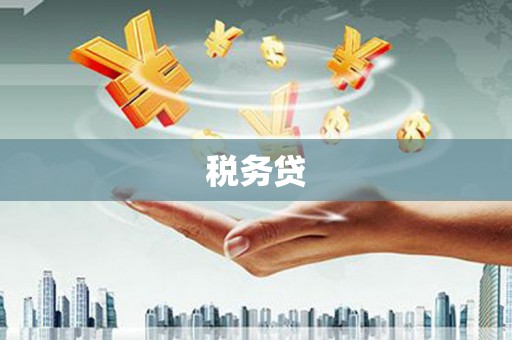 德昌税务贷