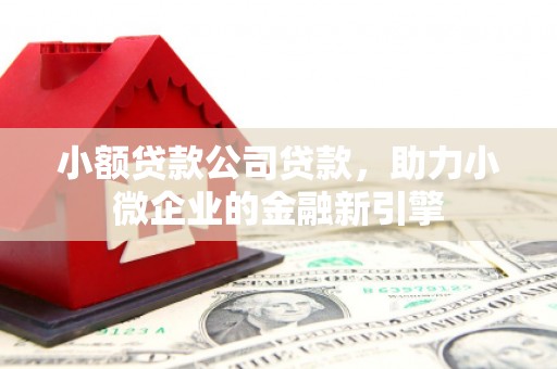 德昌小额贷款公司贷款，助力小微企业的金融新引擎