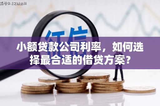 德昌小额贷款公司利率，如何选择最合适的借贷方案？