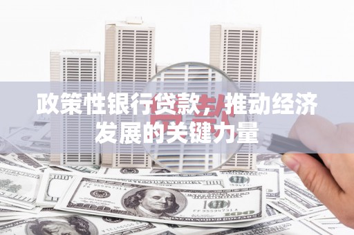 德昌政策性银行贷款，推动经济发展的关键力量