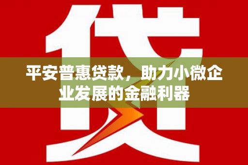 德昌平安普惠贷款，助力小微企业发展的金融利器