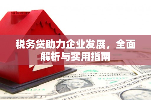 德昌税务贷助力企业发展，全面解析与实用指南