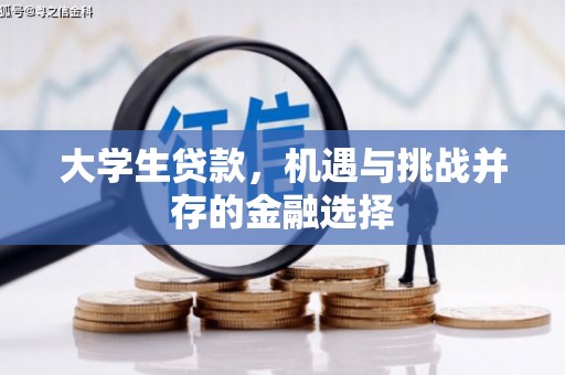 德昌大学生贷款，机遇与挑战并存的金融选择