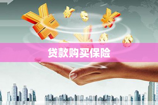 德昌贷款购买保险