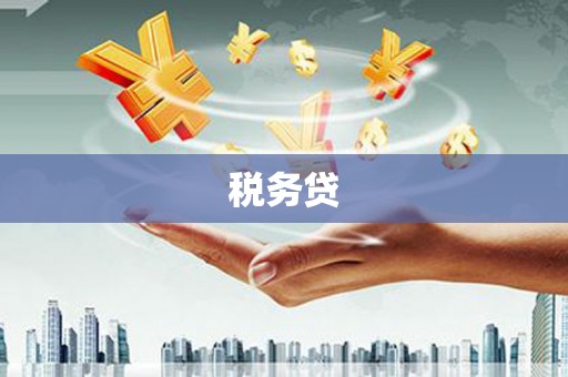 德昌税务贷