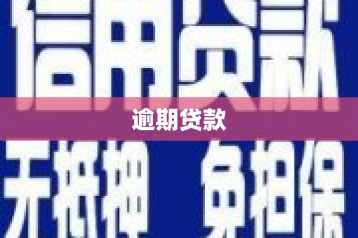 德昌逾期贷款